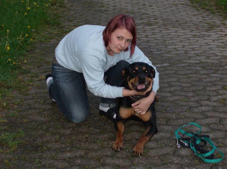 Rottweiler kaja billede 20