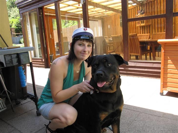 Rottweiler Sv-Vagt's Cheena (Alou) billede 9