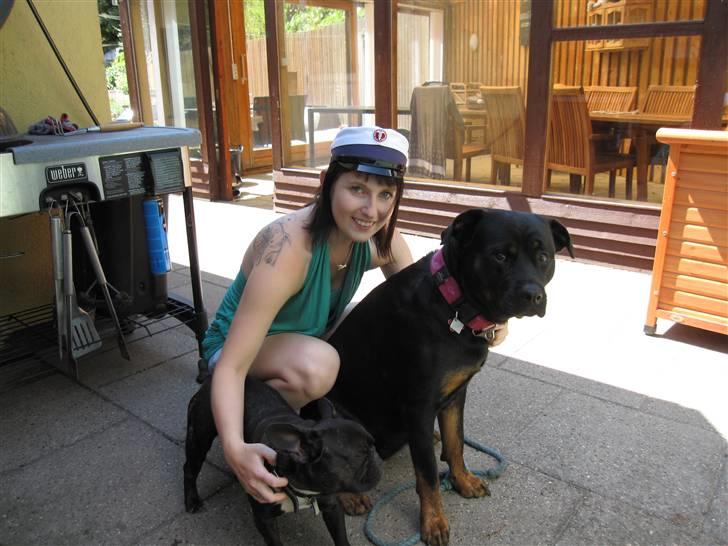 Rottweiler Sv-Vagt's Cheena (Alou) billede 14