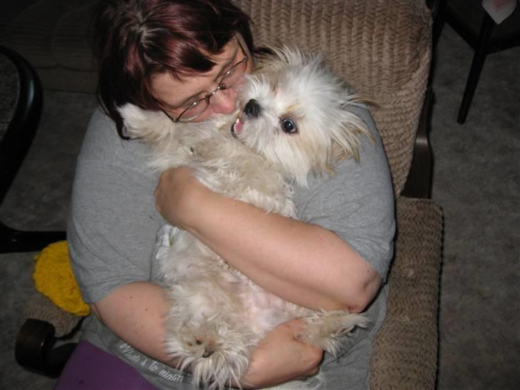 Blanding af racer Nemo billede 11