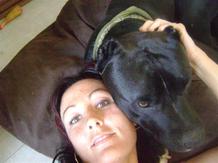 Amerikansk staffordshire terrier darko - mig og mor billede 10