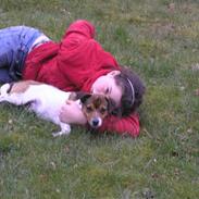 Jack russell terrier Migo<33