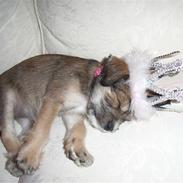 Blanding af racer Madicken