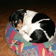 Blanding af racer max