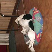 Blanding af racer max