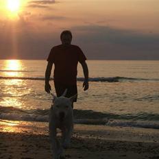 Blanding af racer Kenzo