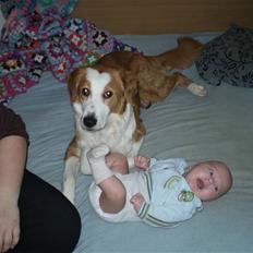 Blanding af racer Mindy