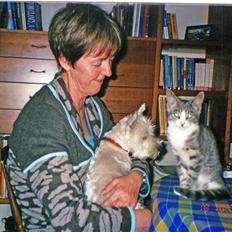 West highland white terrier Mollie *DØD* <3