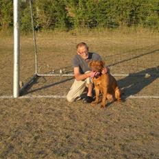 Dogue de bordeaux Cobberhouse's Buena Vista
