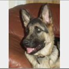 Blanding af racer Conrad