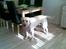 Labrador retriever Grøffe
