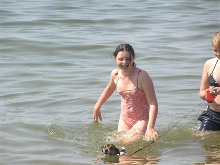 Jack russell terrier Migo<33 - Jeg er en vandhund...  Foto: Mor <3 billede 9