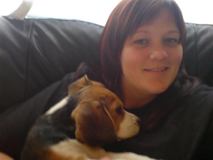 Beagle Luna (død 28/8) R.I.P ;( - Her er jeg med min mor billede 14
