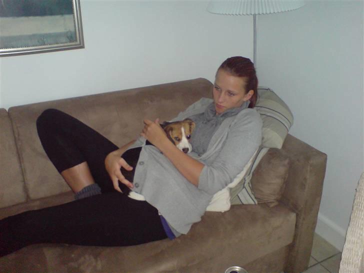 Beagle Luna (død 28/8) R.I.P ;( - Jeg ligger ved min moster - godt pakket ind - og hygger. Har snuset rundt hele dagen, da vi er et nyt sted (Søhøjlandet sikleborg) billede 19