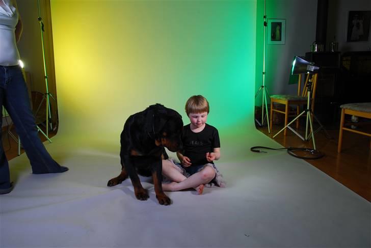 Rottweiler kiki - puha det var godt du kom puk billede 3