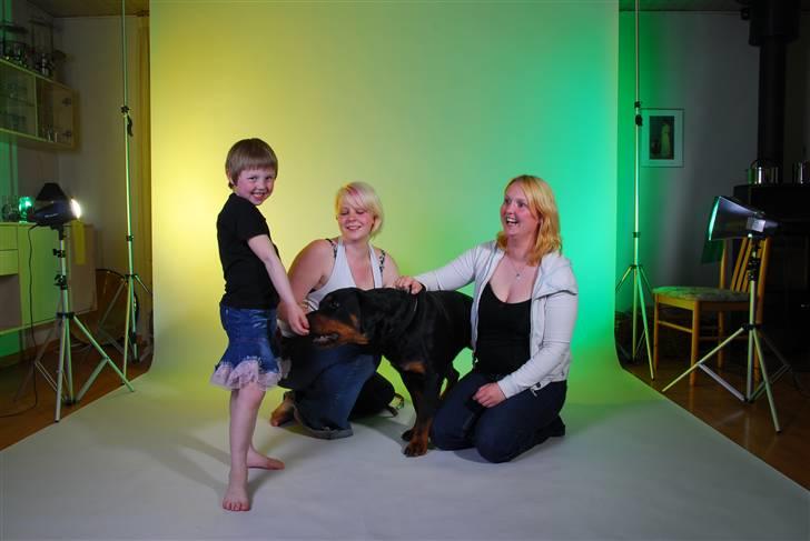 Rottweiler kiki - det er ik nemt det her billede 4