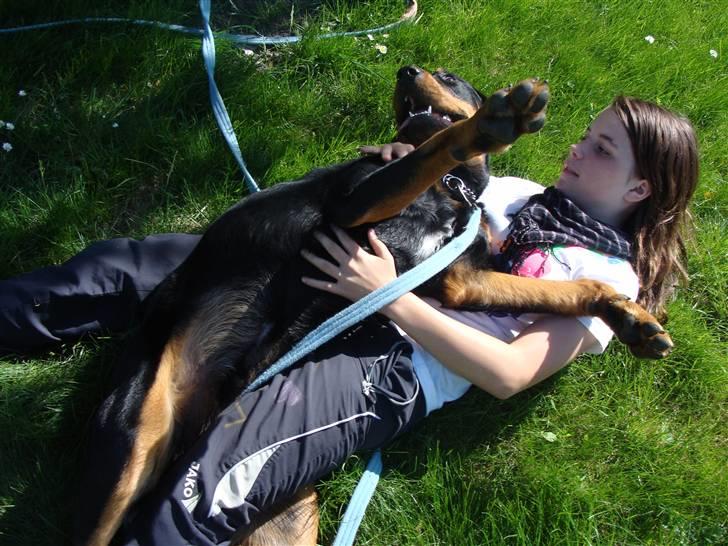 Rottweiler Bob - fotograf: Kia BB. billede 17