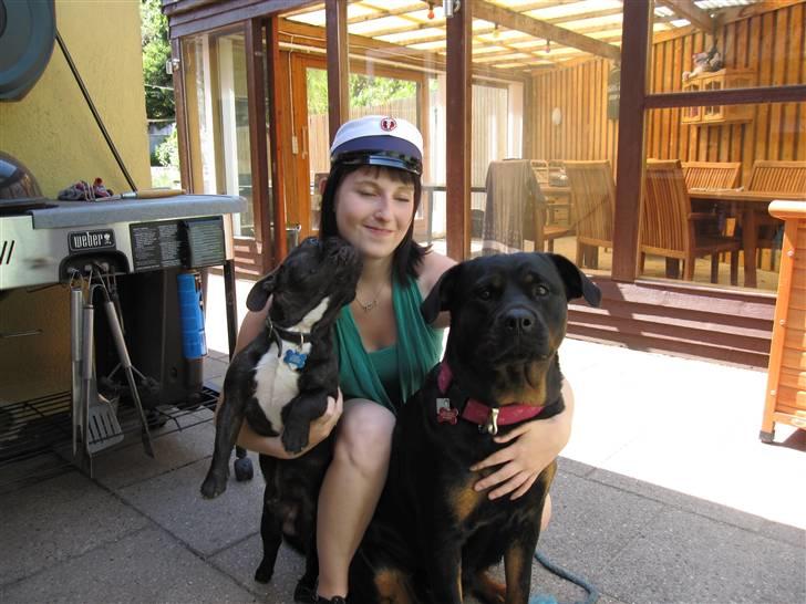 Rottweiler Sv-Vagt's Cheena (Alou) billede 15