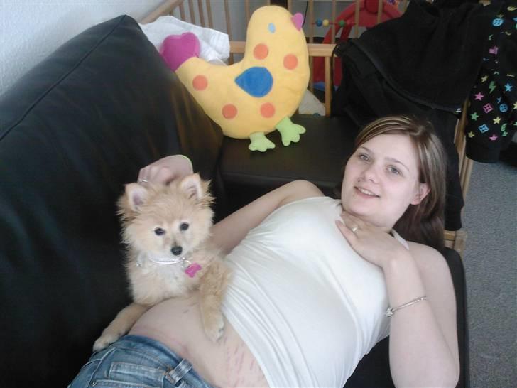 Pomeranian Coco - Prinsssen'<3 - Mor´s lille Putte-nutte gris =) billede 6