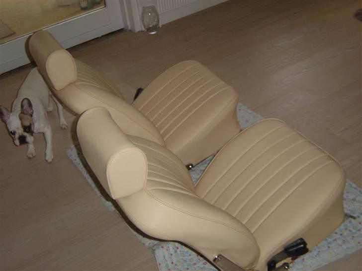 Fransk bulldog Carla - Lusker liiiiige rundt og kigger på "farmands" nye læderkabine... Tør jeg mon tygge lidt i den? billede 11