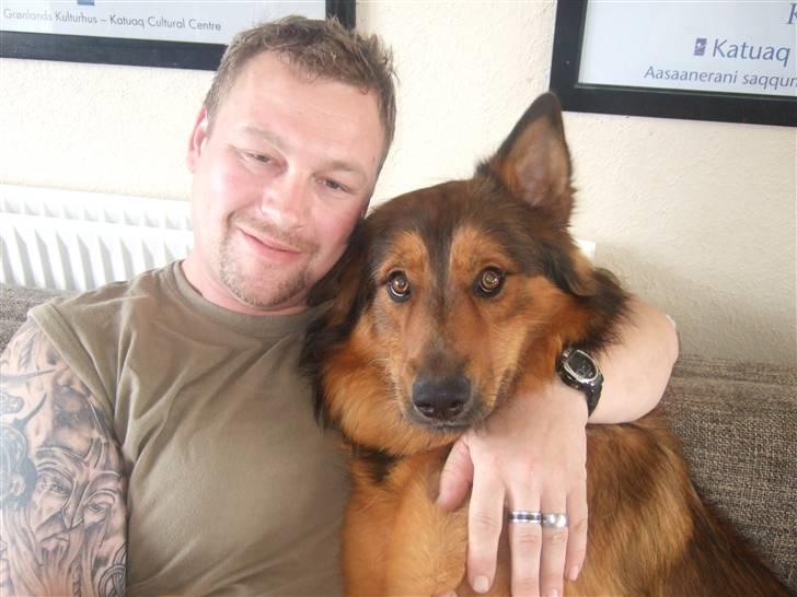 Blanding af racer bandit billede 9