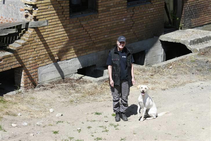 Blanding af racer Luzi - vi er klar til træning... billede 4