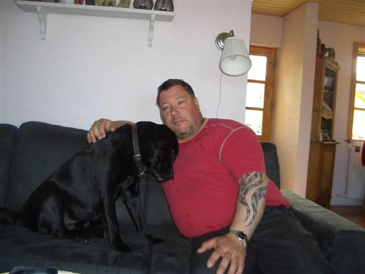 Blanding af racer Holger billede 7