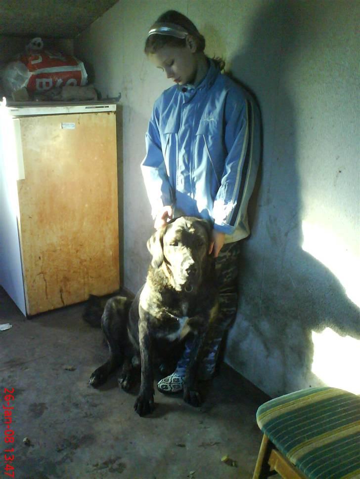 Blanding af racer junior billede 3