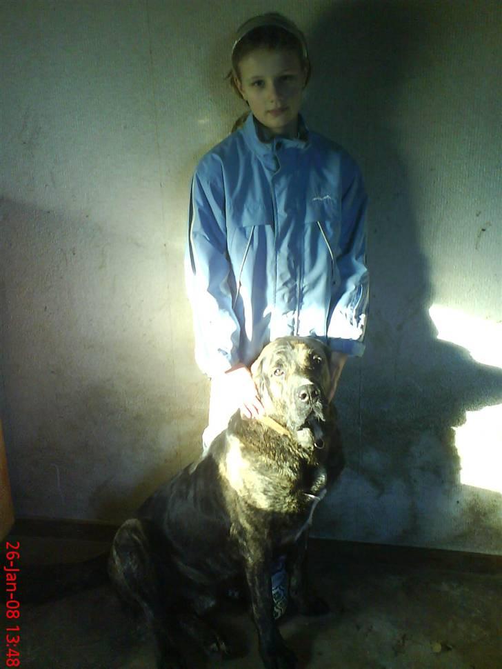 Blanding af racer junior billede 4