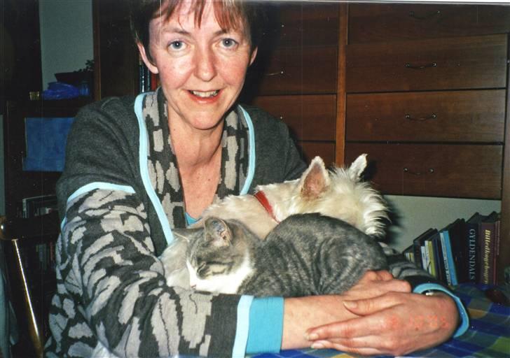 West highland white terrier Mollie *DØD* <3 - M O L L I E <3 igen (; billede 3