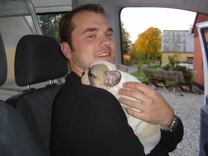 Fransk bulldog Carla - Afhentningsdagen af lille Carla billede 12