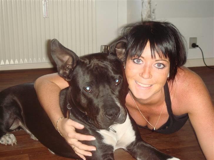 Amerikansk staffordshire terrier Kenzo - Min mor og jeg hygger på gulvet. billede 15