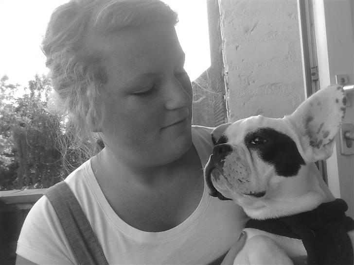 Fransk bulldog Pelle - Mhm, her blir jeg nusset af mor billede 13