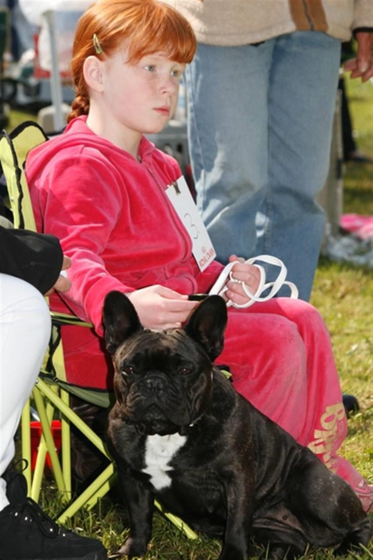 Fransk bulldog Astrid - Astrid og Julie på Bøsøre 2008 - Foto: Jan Sternkopf billede 12