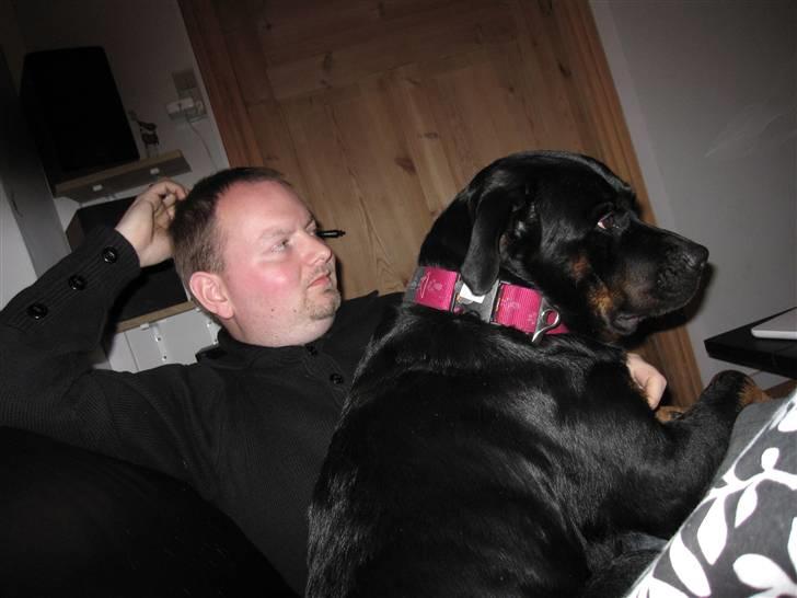 Rottweiler Sv-Vagt's Cheena (Alou) billede 18