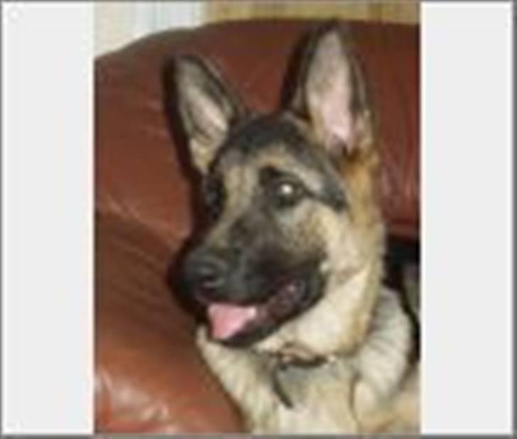 Blanding af racer Conrad billede 3