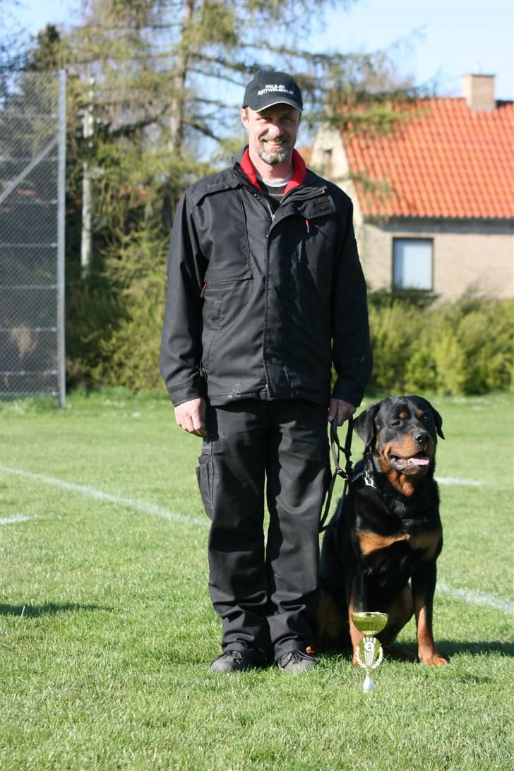 Rottweiler Jondia's benjo - DM 2008 Taget af Kennel Haiki billede 6