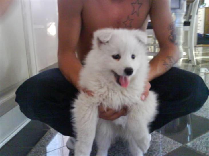 {{currentPhoto.altText}} billede {{currentPhoto.number}}