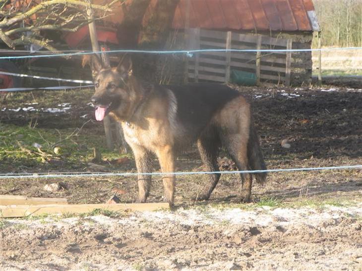 {{currentPhoto.altText}} billede {{currentPhoto.number}}