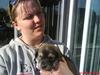 Blanding af racer Angel ** i hundehimlen** [ Himmelhund]