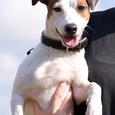 Blanding af racer <3 <3 Kejser <3 <3