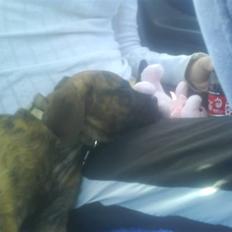 Blanding af racer R.I.P tøsen<3