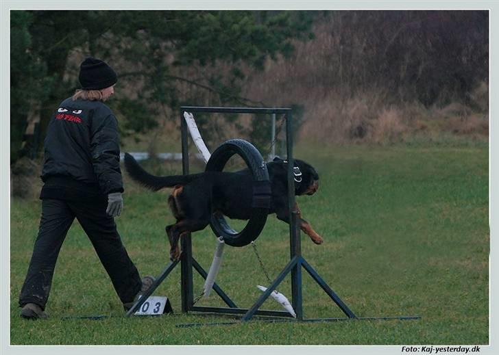 Blanding af racer Ricko billede 11