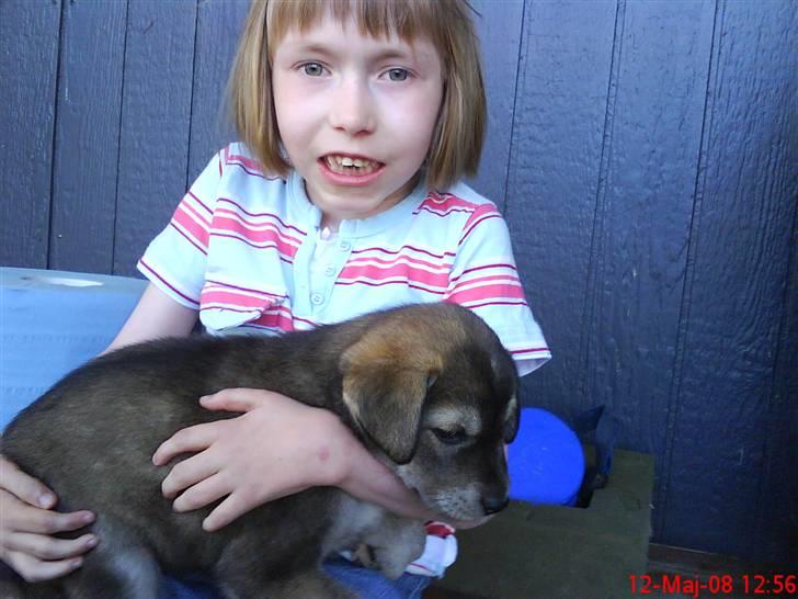 Blanding af racer Angel ** i hundehimlen** - Min lillesøster Natasha der sidder med lille Angel billede 4