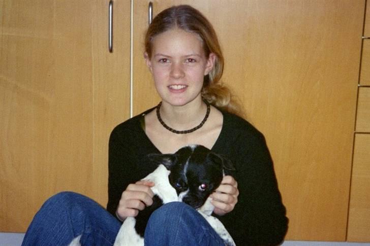 Blanding af racer Lucky *død* billede 9