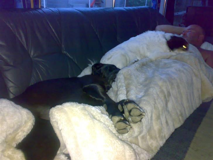 Blanding af racer nikita  R.I.P - slap af tid med far og sofie billede 4