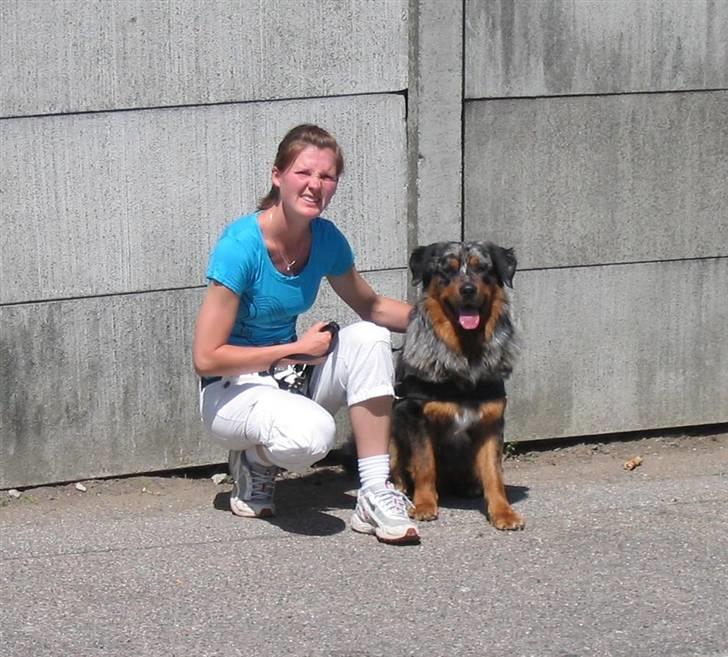 Blanding af racer Leonardo (Leo) billede 10