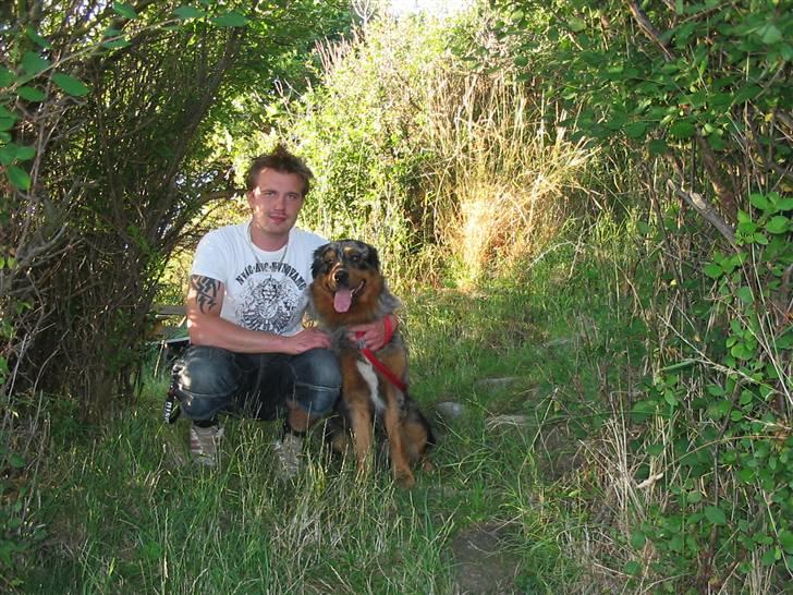 Blanding af racer Leonardo (Leo) billede 17