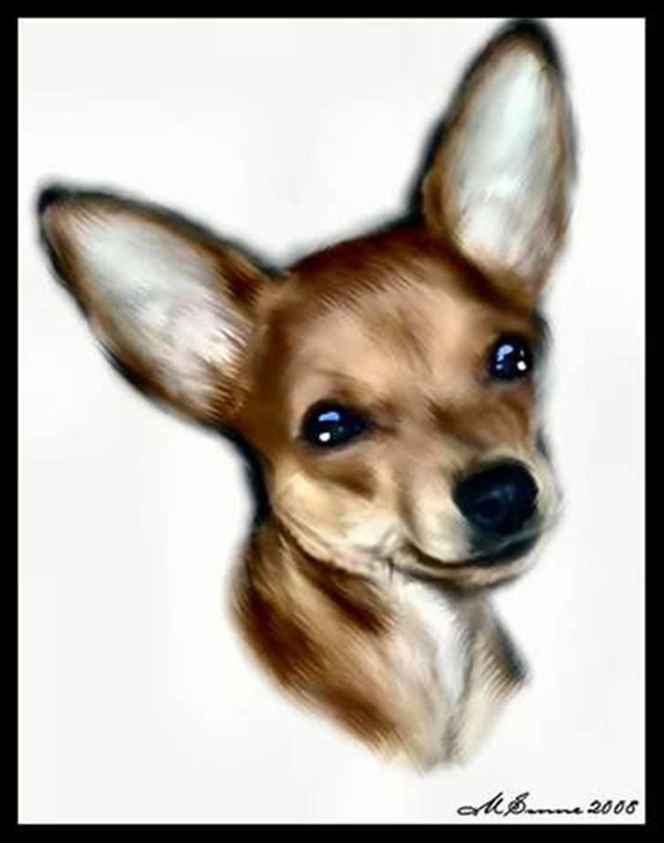 Blanding af racer Joey - Lavet til os af: Det Lille Blå Lyn & Den Sorte Banditræv´s moar, vi takker for det flotte billede =) billede 8