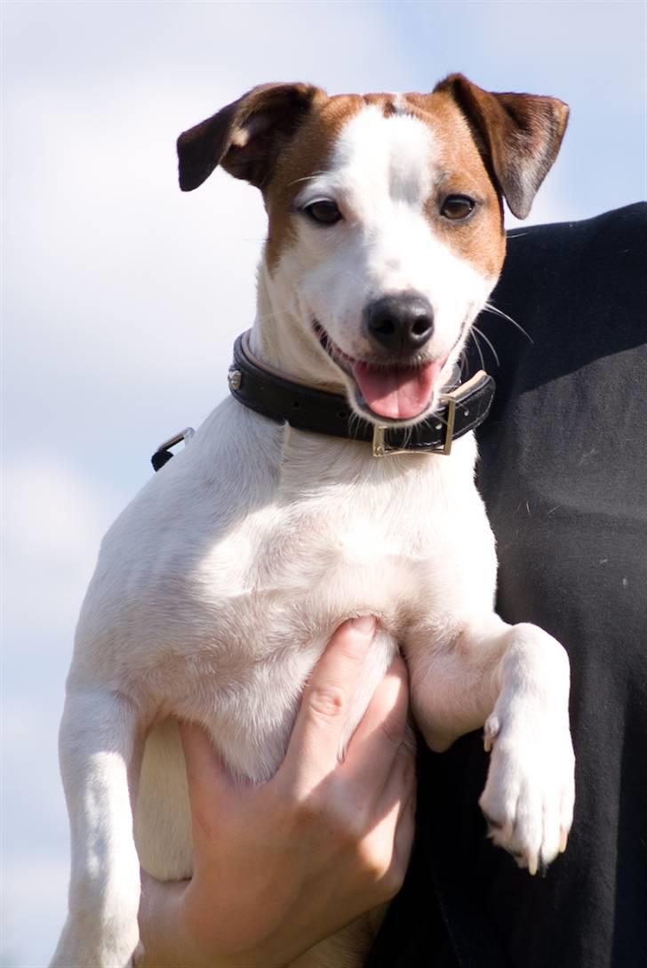 Blanding af racer <3 <3 Kejser <3 <3 - Velkommen til Kejser`s profil......... billede 1